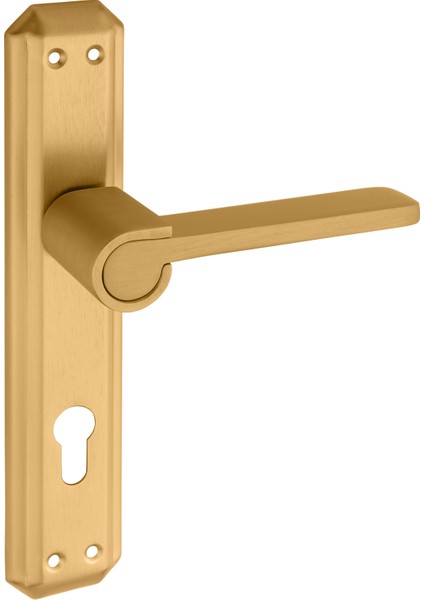 Zarafet Gizem Aynalı Alüminyum Kapı Kolu (Oda/yale/wc) Mat Albfrin