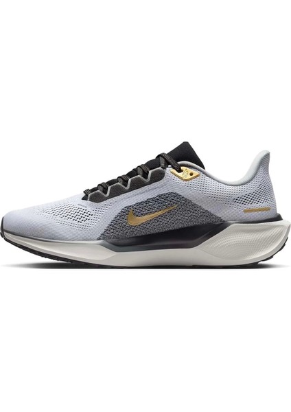 Air Zoom Pegasus 41 Erkek Spor Ayakkabı Hq3220-100