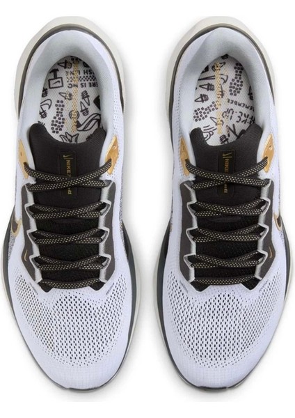Air Zoom Pegasus 41 Erkek Spor Ayakkabı Hq3220-100