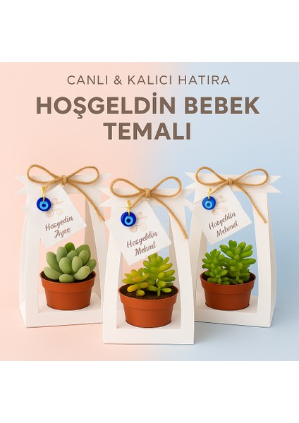 Hoşgeldin Bebek Sukulent Hediyelik – Nazarlıklı, Etiketli, El Yapımı Sunum Çerçevesinde, Erkek ve Kız Bebek Için Uygun fiyatları