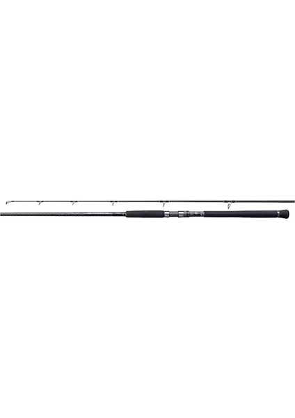 Currentsniper XR 2.95m Max Jig 150gr - Plug 120gr Shore Jig Olta Kamışı