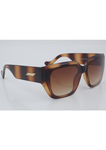 DS 2115 C2 60 - 01 Güneş Gözlüğü modelleri