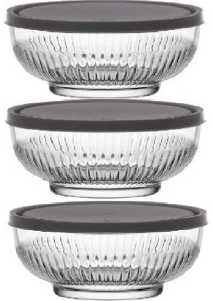 3'lü Gri Cam Saklama Kabı Seti, 880cc, Kapaklı, Pratik ve Şık Tasarım