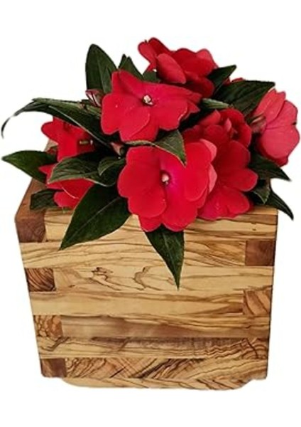 Ahşap Saksı Zeytin Ağacı 20X20X20CM.