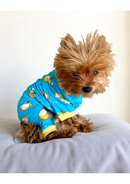 Penpen The Penguin Penye Köpek Tulum Pijama