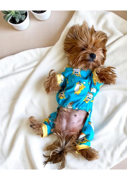 Penpen The Penguin Penye Köpek Tulum Pijama fırsatları