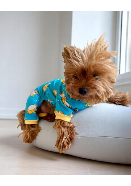 Penpen The Penguin Penye Köpek Tulum Pijama indirimleri