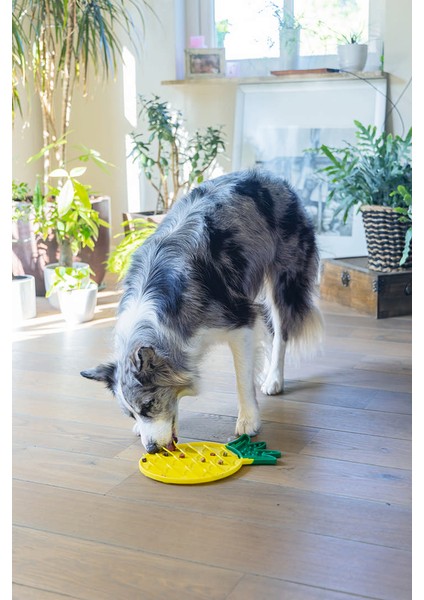 Yavru Köpek Yaş Mama Yeme Oyuncağı, Ananas Şeklinde,silikon, Sarı, 20X20CM Svlrs fırsatları