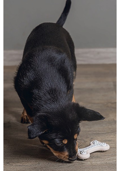 Yavru Köpek Diş Oyuncağı, Içi Dolu Halka, Kauçuk, Pembe, 10CM Svlrs indirimleri
