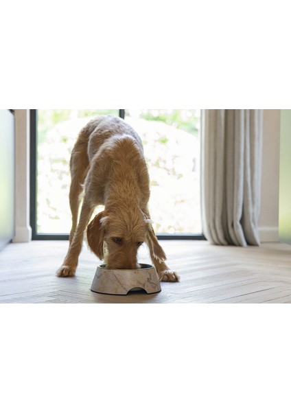 Dbl Köpek Mama Su Kabı, Mat Altın Rengi Paslanmaz Çelik, Bej Mermer Görünümlü, 22CM, 700ML Svlrs fiyatları