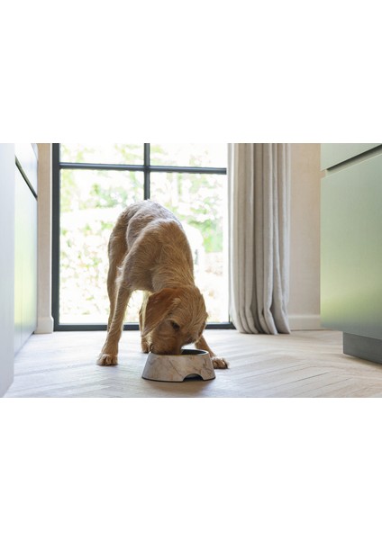 Dbl Köpek Mama Su Kabı, Mat Altın Rengi Paslanmaz Çelik, Bej Mermer Görünümlü, 22CM, 700ML Svlrs fırsatları
