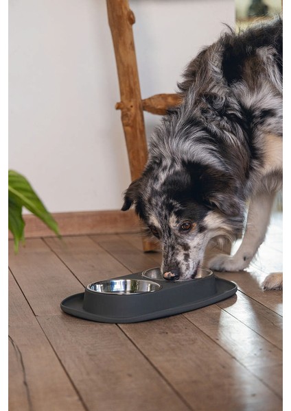 Köpek İkili Mama ve Su Kabı, Paslanmaz Çelik, 40x24cm, 2x500ml fırsatları