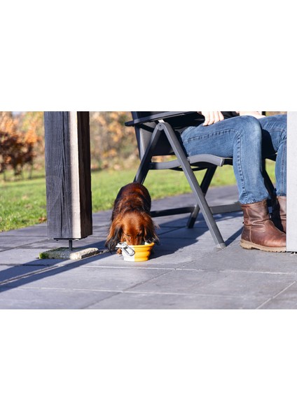 Köpek Mama ve Su Kabı, Teleskopik, Turuncu, Silikon, 15,5cm, 750ML Svlrs fiyatları