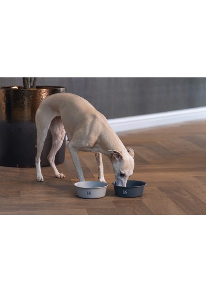 Köpek Mama Su Kabı, Mat Siyah Paslanmaz Çelik, 16cm, 940ml fırsatları