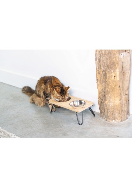 Dbl Kedi Ikili Mama ve Su Kabı, Paslanmaz Çelik, Beyaz, 31X16X10CM, 2X350ML Svlrs fiyatları