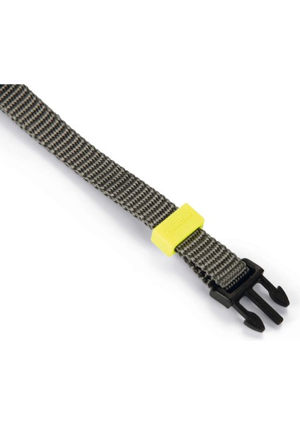 Köpek Boyun Tasması, Antrasit, 20-30cm