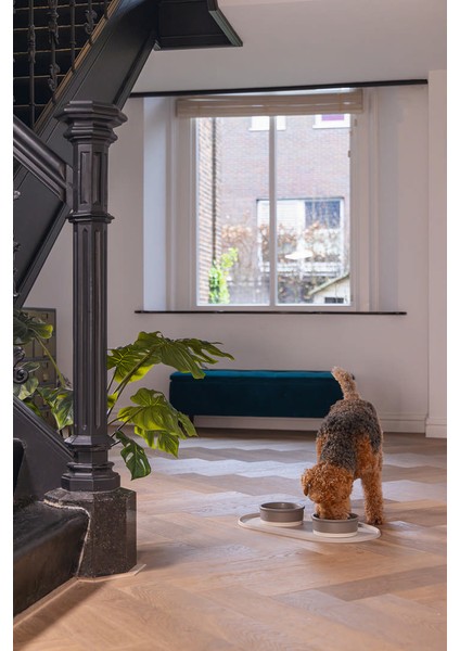 Dbl Mama Su Kabı Servisi, Silikon, Kaymaz, Bej, 55X30X1,7CM Svlrs indirimleri