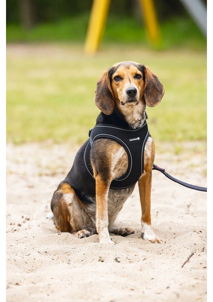 Köpek Göğüs Tasması, Neopren, Siyah, M, 41-46cm