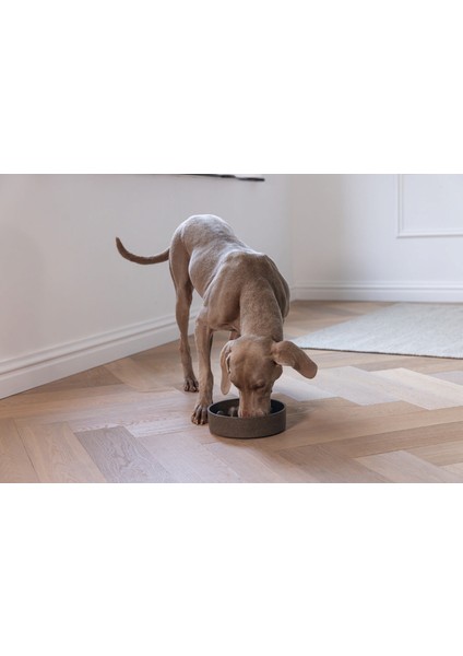Dbl Köpek Yavaş Besleme Mama Kabı, Bambu, Antrasit, 21CM, 1430ML Svlrs modelleri