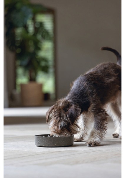 Dbl Köpek Yavaş Besleme Mama Kabı, Bambu, Antrasit, 17CM, 800ML Svlrs fiyatları