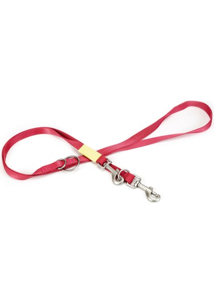Köpek Gezdirme Kayışı, Pembe, 200cm, 20mm