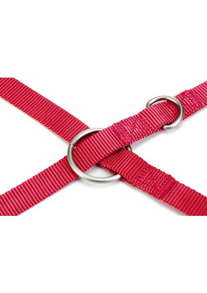 Köpek Gezdirme Kayışı, Pembe, 200cm, 20mm