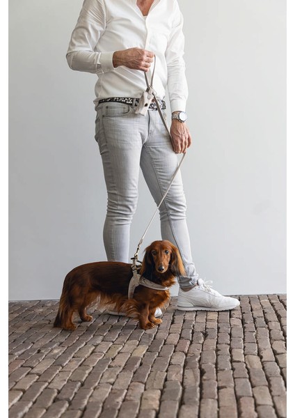 Köpek Göğüs Tasması, Velur, Gri, S, 20mm x 52cm indirimleri