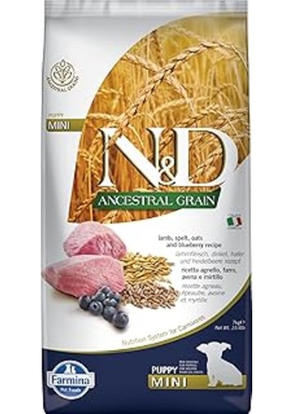 N&d Mini Puppy Düşük Tahıllı Kuzu Etli ve Yaban Mersinli Yavru Köpek Maması 7 kg