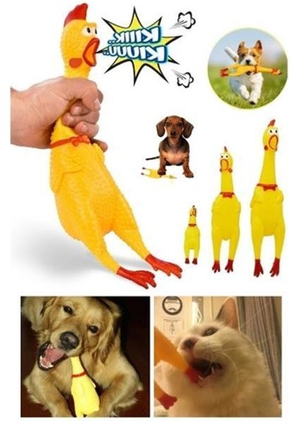 Ses Çıkaran Tavuk Kedi Köpek Oyuncağı 38 Cm.