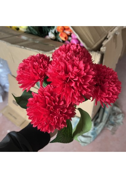 5 Dallı Kasım Patı Ponpon Kırmızı