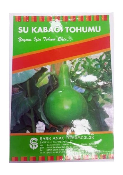Süs Kabağı Tohumu