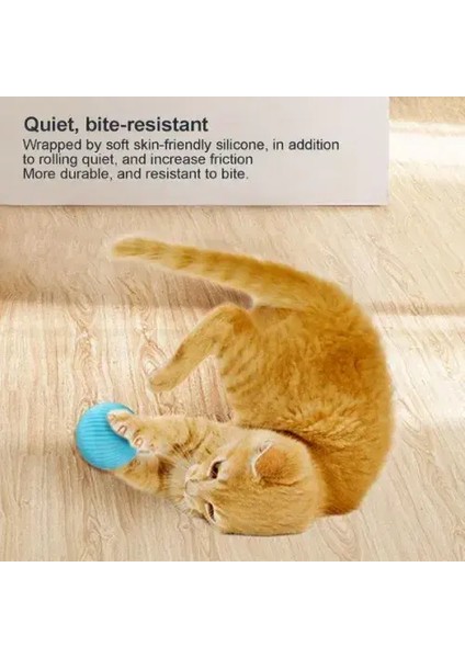 Interaktif Kedi Köpek Şarjlı Oyun Topu modelleri
