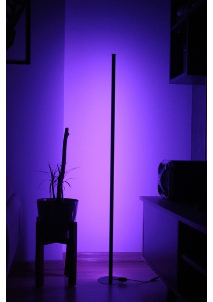 Dekoratif Köşe LED Lambader Rgb Kumandalı 16 Renk Ayaklı