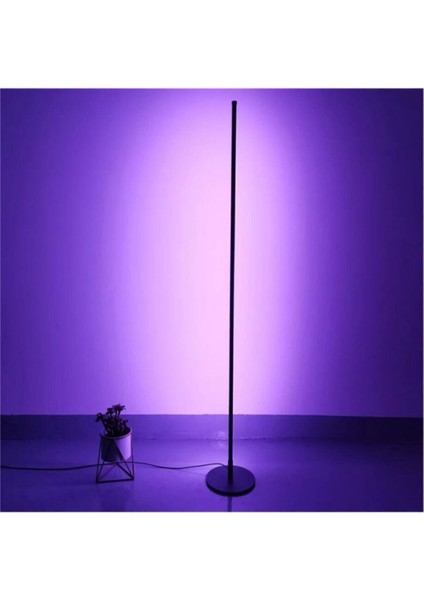 Pinkblue Light Köşe Dekoratif Lambader -Led Lamba Işık Sistemi - Full Rgb 256 Renk