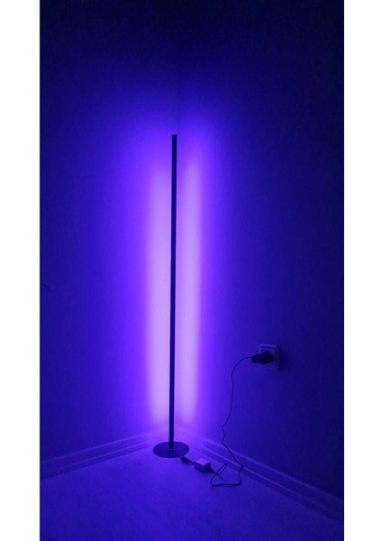 Sese Duyarlı Lambader Rgb Kumandalı Dekoratif Köşe LED Lambader Aydınlatması