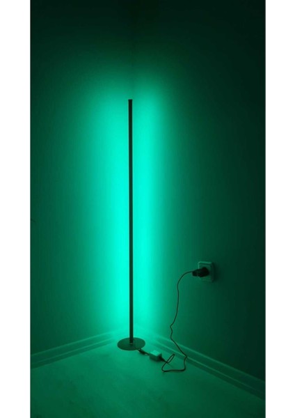 Sese Duyarlı Lambader Rgb Kumandalı Dekoratif Köşe LED Lambader Aydınlatması