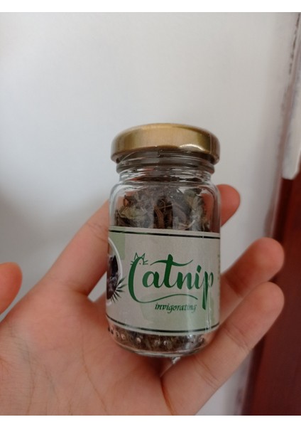 Fırsat Byr Catnip Doğal Kedi Otu - Kedi Nanesi Yeni