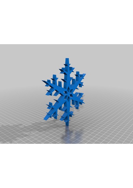Snow Flake _ 6 Şube