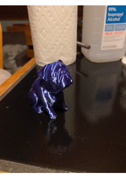 Josef Prusa'nın Boksörü Buddy