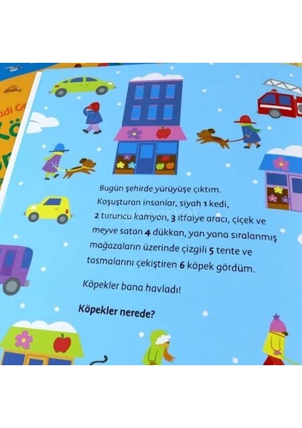 Hadi Gezelim Şehirde Kış Ara-Bul Kitabı - Sue Tarsky