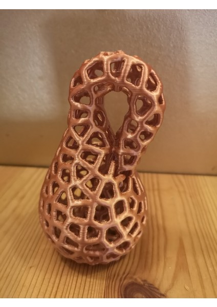Voronoi Klein Şişesi