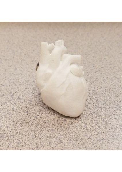 Anatomik Kalp Anahtarı