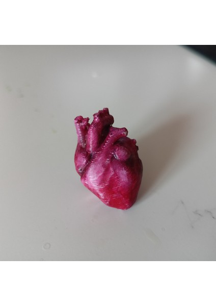 Anatomik Kalp Anahtarı