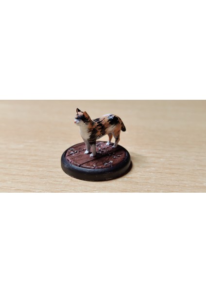 Kedi Dnd Mini