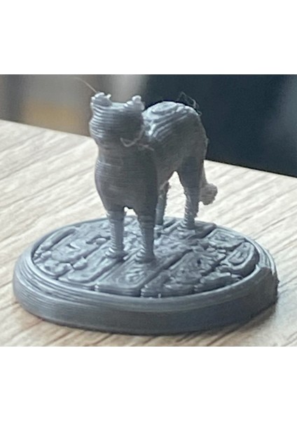 Kedi Dnd Mini