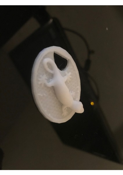 Gecko Coin Anahtarı Sadece Plastik Aparattır.