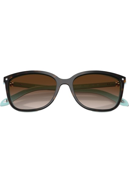 Kadın Güneş Gözlüğü 0TF4105HB5581343B