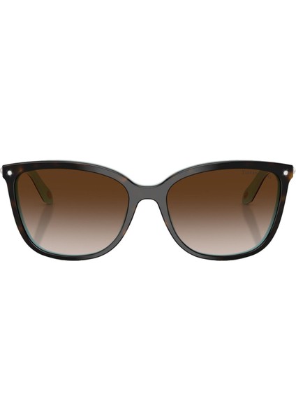 Kadın Güneş Gözlüğü 0TF4105HB5581343B modelleri