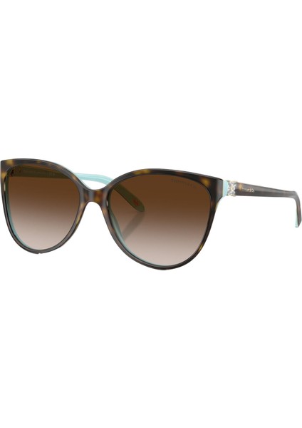 Kadın Güneş Gözlüğü 0TF4089B5881343B fiyatları
