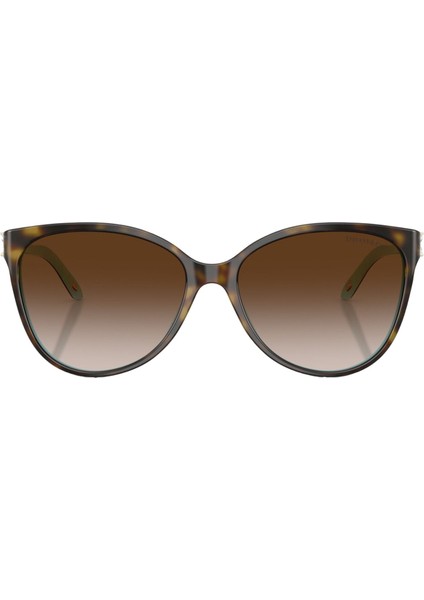 Kadın Güneş Gözlüğü 0TF4089B5881343B modelleri